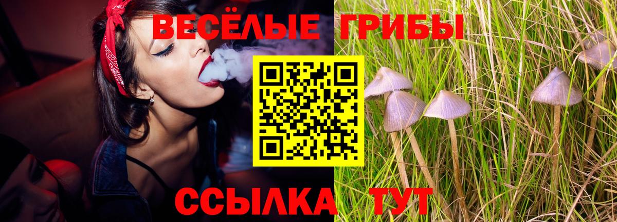 Галлюциногенные грибы мухоморы  Псилоцибиновые грибы Cubensis  Вход с VPN  Урюпинск 