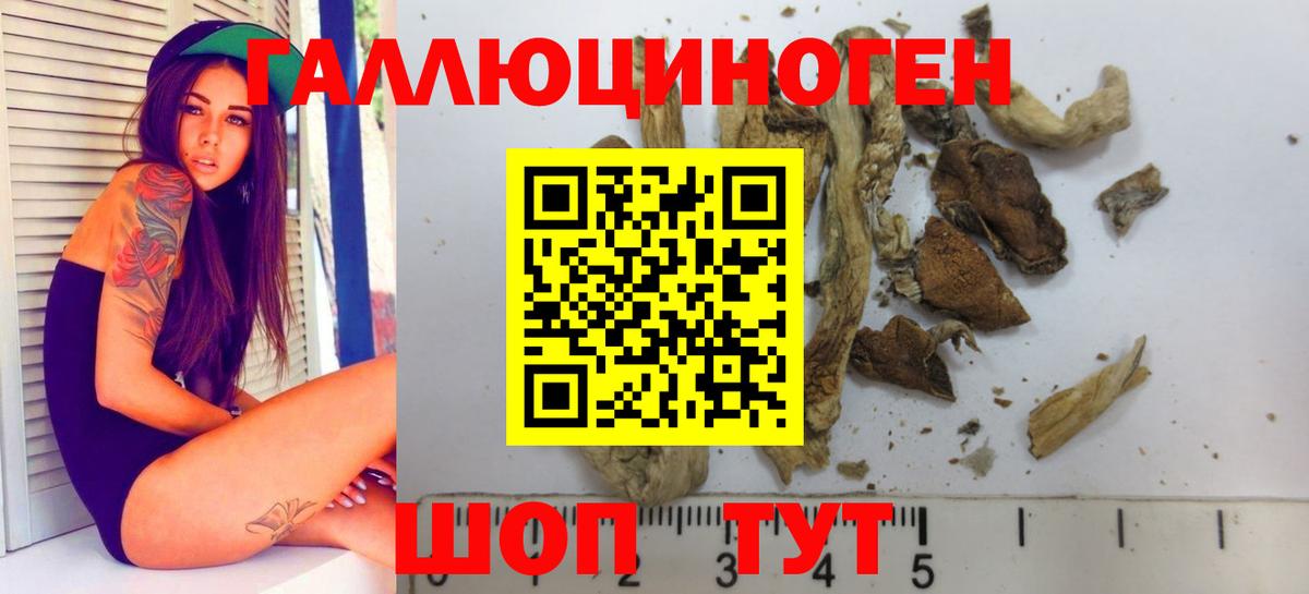 Псилоцибиновые грибы GOLDEN TEACHER Урюпинск